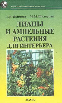 Лианы и ампельные растения для интерьера Лианы и ампельные растения для интерьера